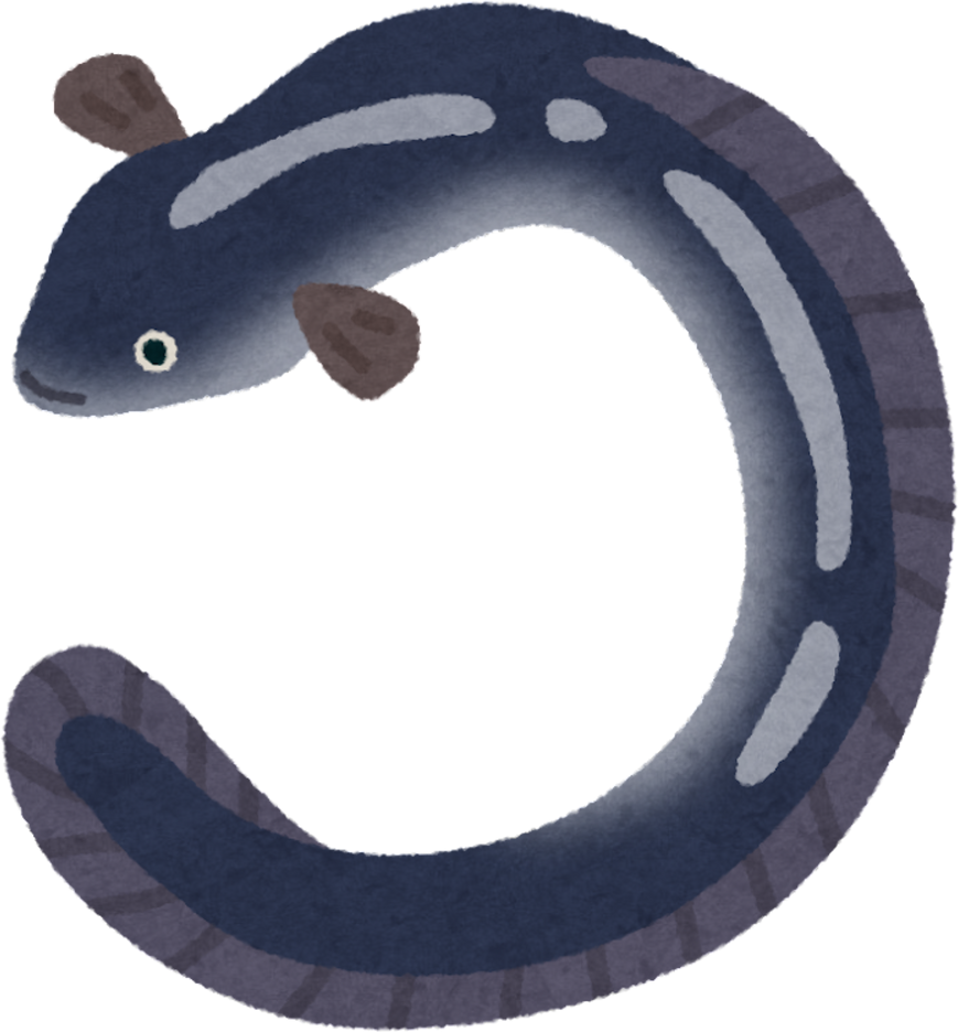 Illustration of an Eel